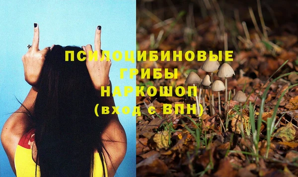 прущий лед Алексеевка