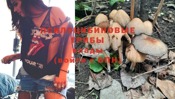 прущий лед Алексеевка